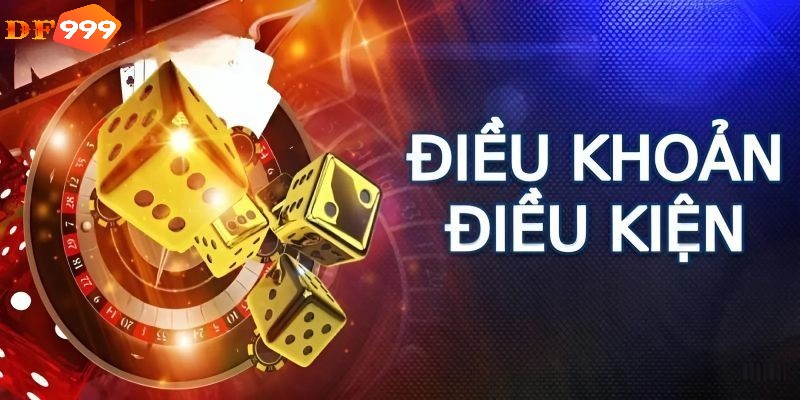 điều khoản điều kiện DF999