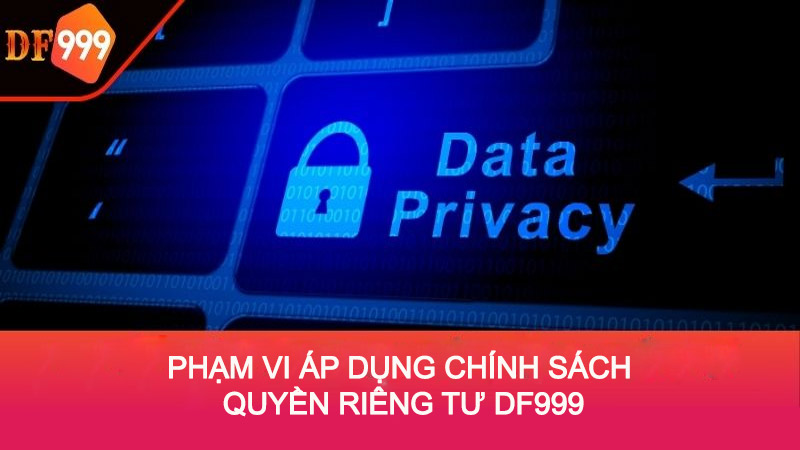 chính sách bảo mật DF999