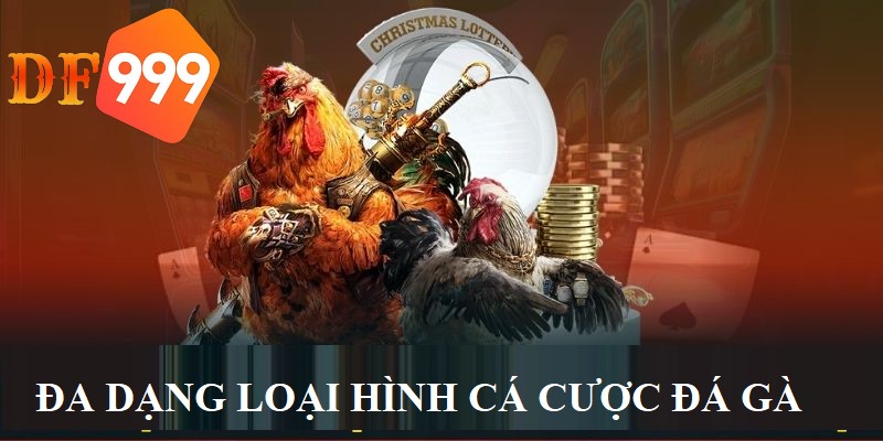 Tham gia đá gà DF999 người chơi có thể đặt nhiều loại cược